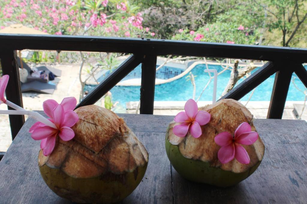 Lombok Coconut Hotel Мангсит Экстерьер фото